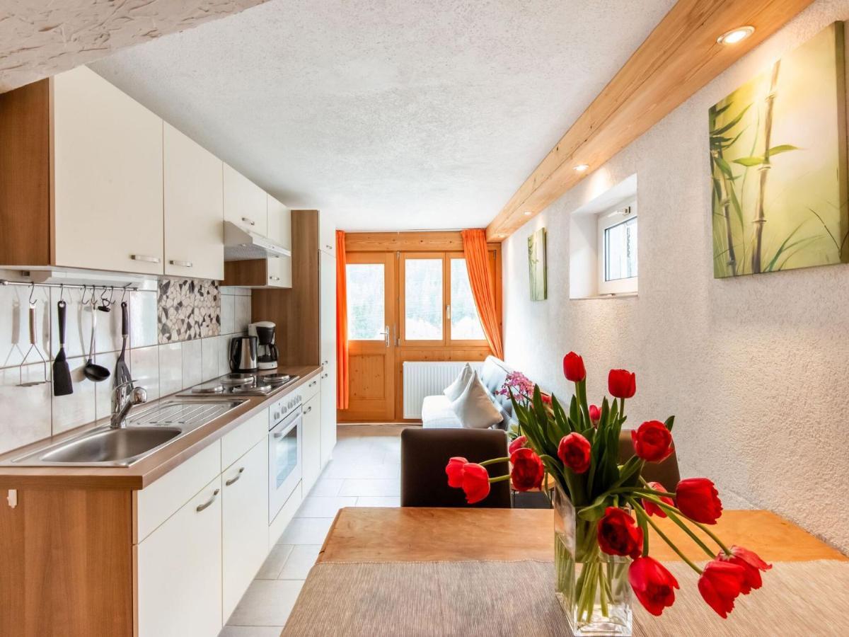 Apartment In The Silvretta-Montafon Ski Area 圣加伦基希 外观 照片